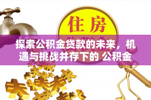 甘肃探索公积金贷款的未来，机遇与挑战并存下的 公积金贷款风险防控