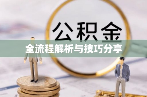 甘肃全流程解析与技巧分享